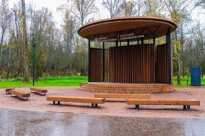 Сцена в новом лесопарке «Соколиная гора» в Истре осенью