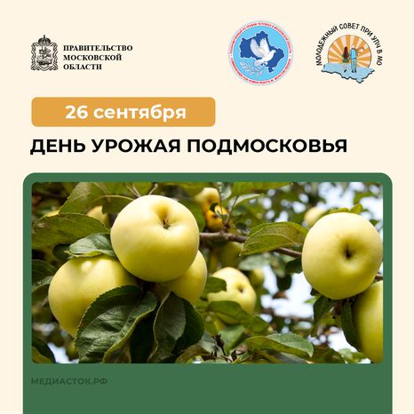 26 сентября квадрат 02