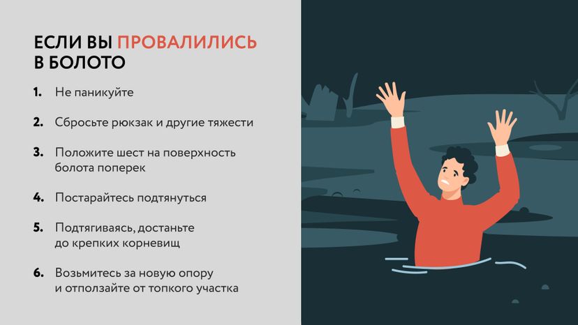 Болото-Горизонталь-06.jpg