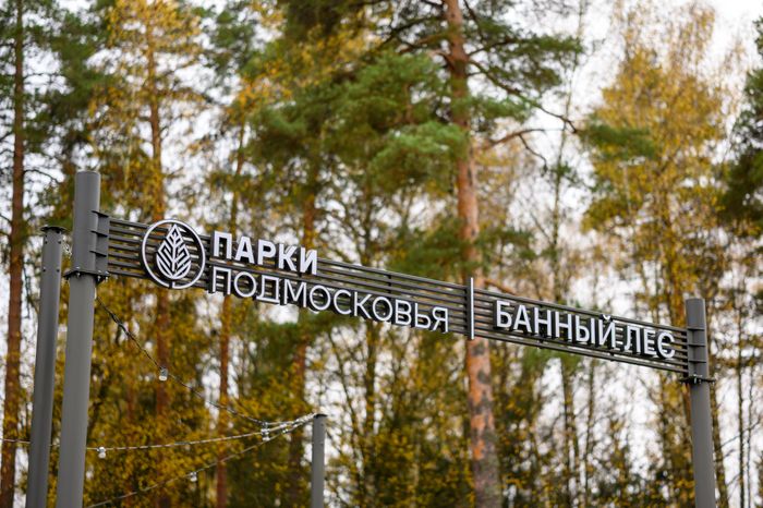 Лесопарк «Банный лес» в Красноармейске осенью