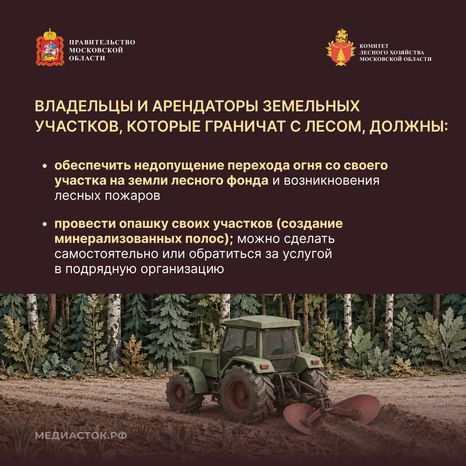 Живете рядом с лесом квадрат 03