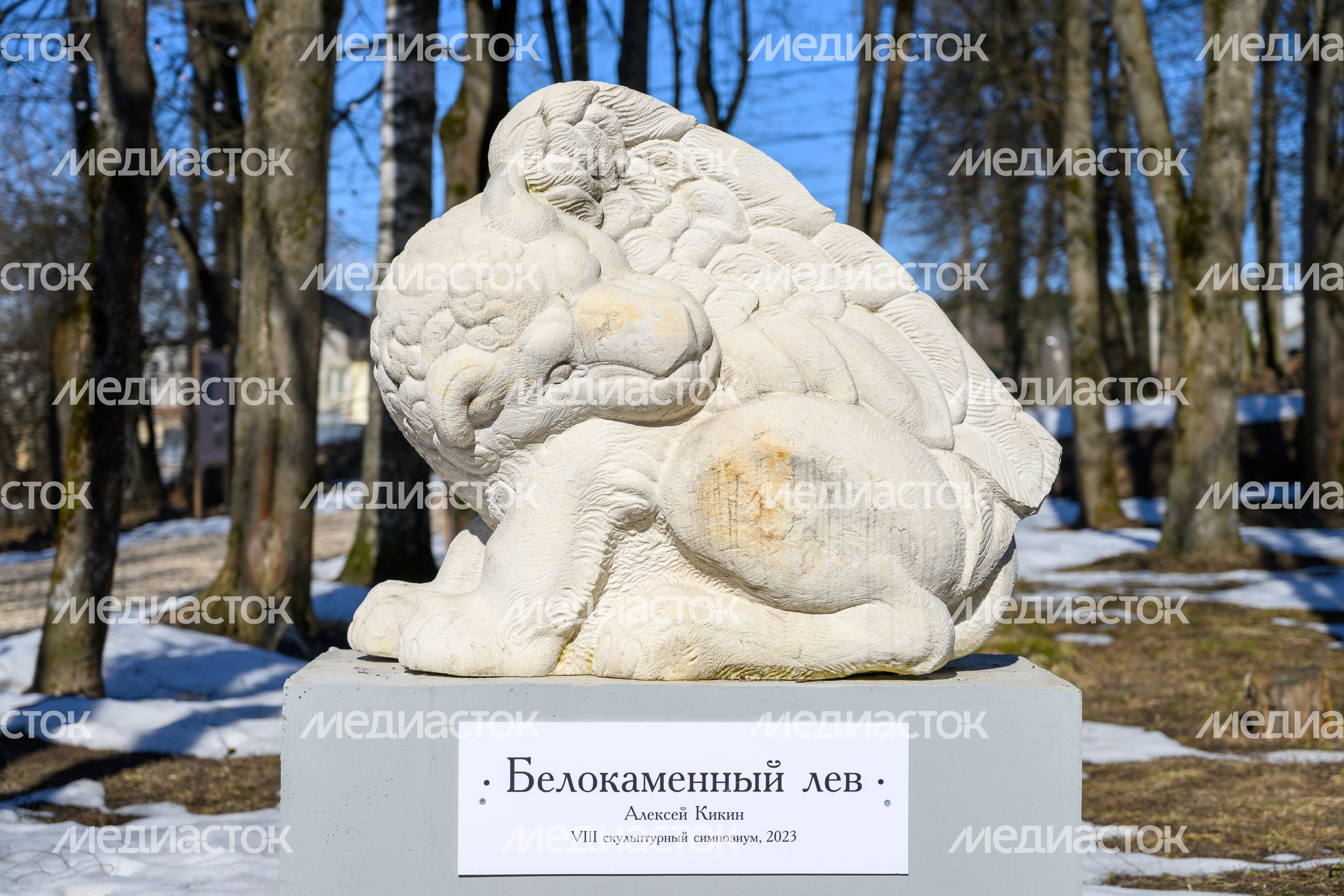 Скульптура «Белокаменный лев» Алексея Кикина украсила аллею к Дому культуры поселка Лоза Сергиево-Посадского округа Скульптура «Белокаменный лев» Алексея Кикина украсила аллею к Дому культуры поселка Лоза Сергиево-Посадского округа