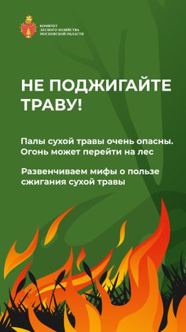 комлесхоз_пал_верт_1.jpg