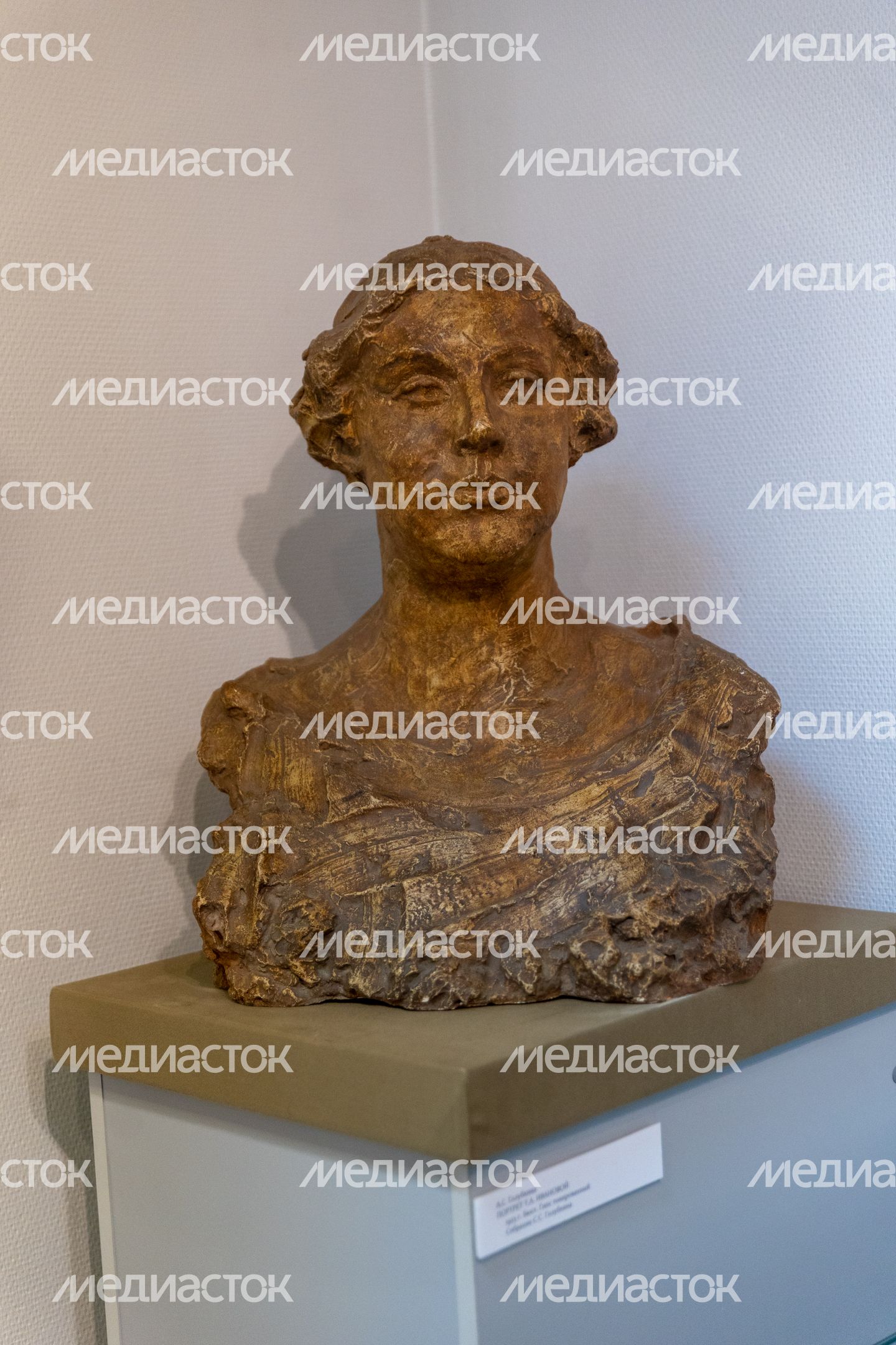 Дом-музей Голубкиной