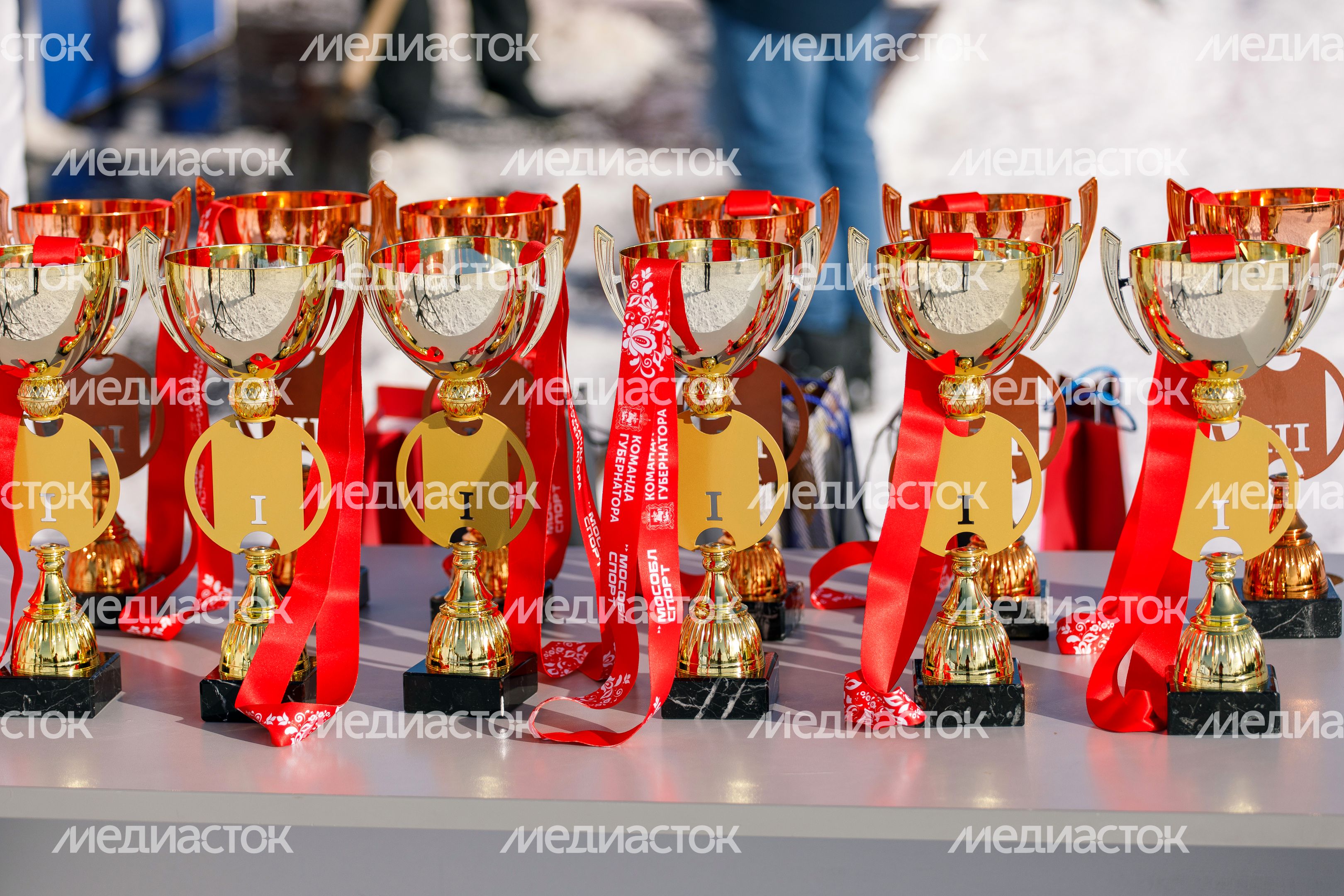 Кубок Александра Большунова по лыжным гонкам в Истре Кубок Александра Большунова по лыжным гонкам в Истре