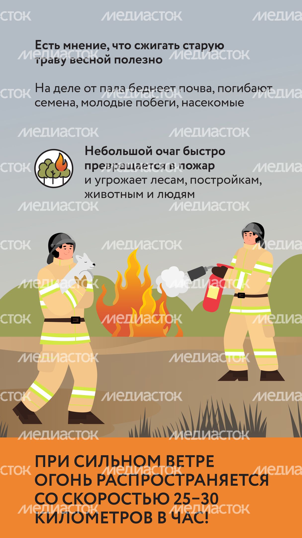 Пал травы-02.jpg