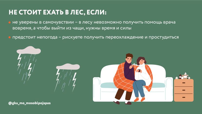 Горизонталь грибы 04.jpg
