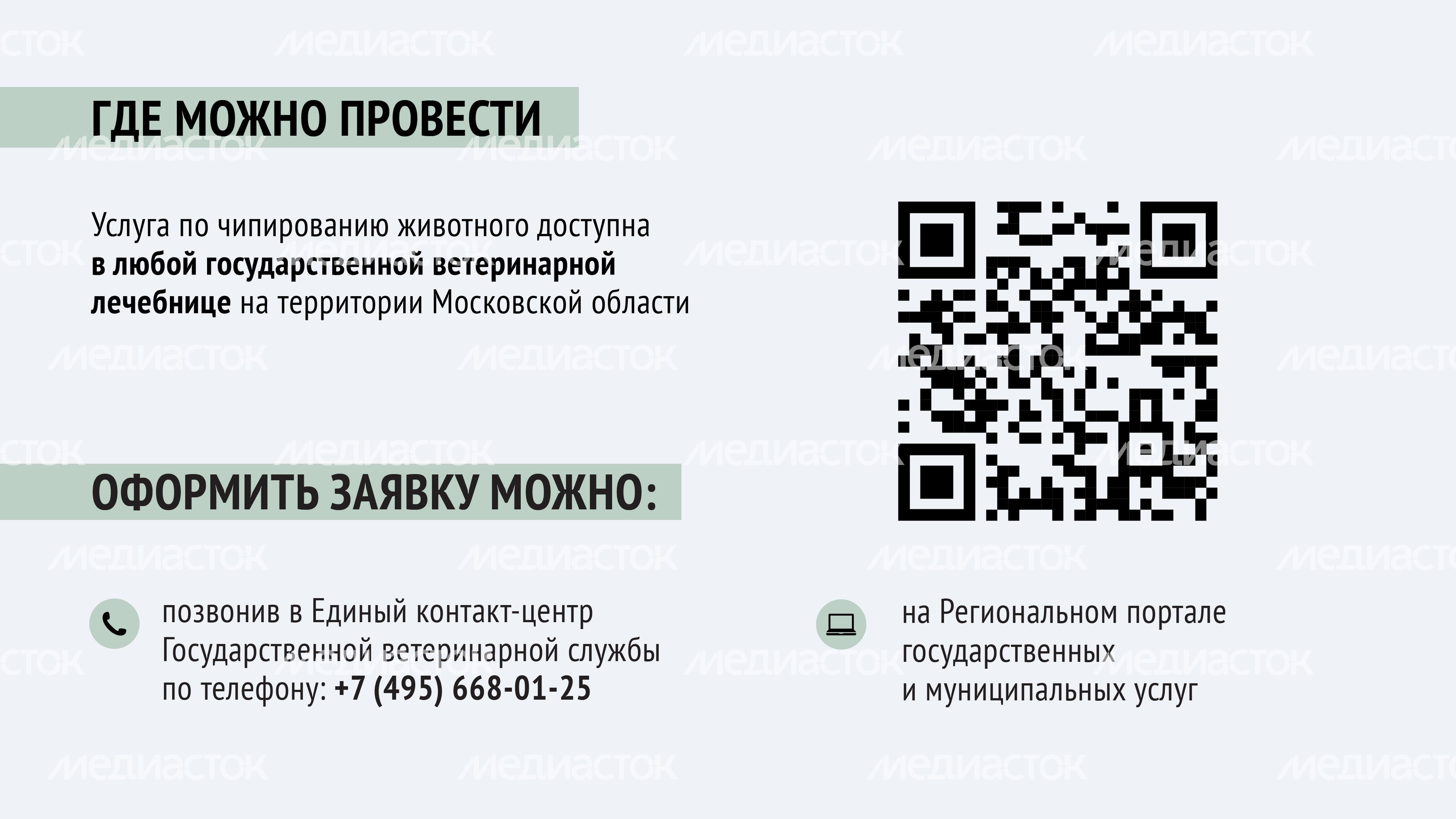 Чипирование-12.jpg