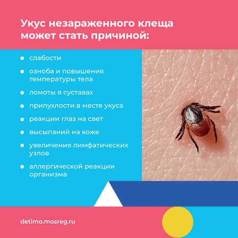 Квадрат осторожно клещи 06.png