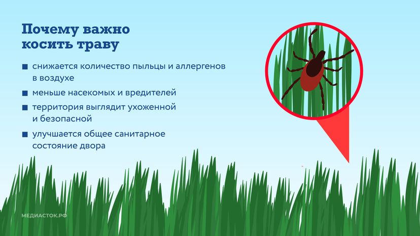 Как ухаживают за газонами горизонталь 05