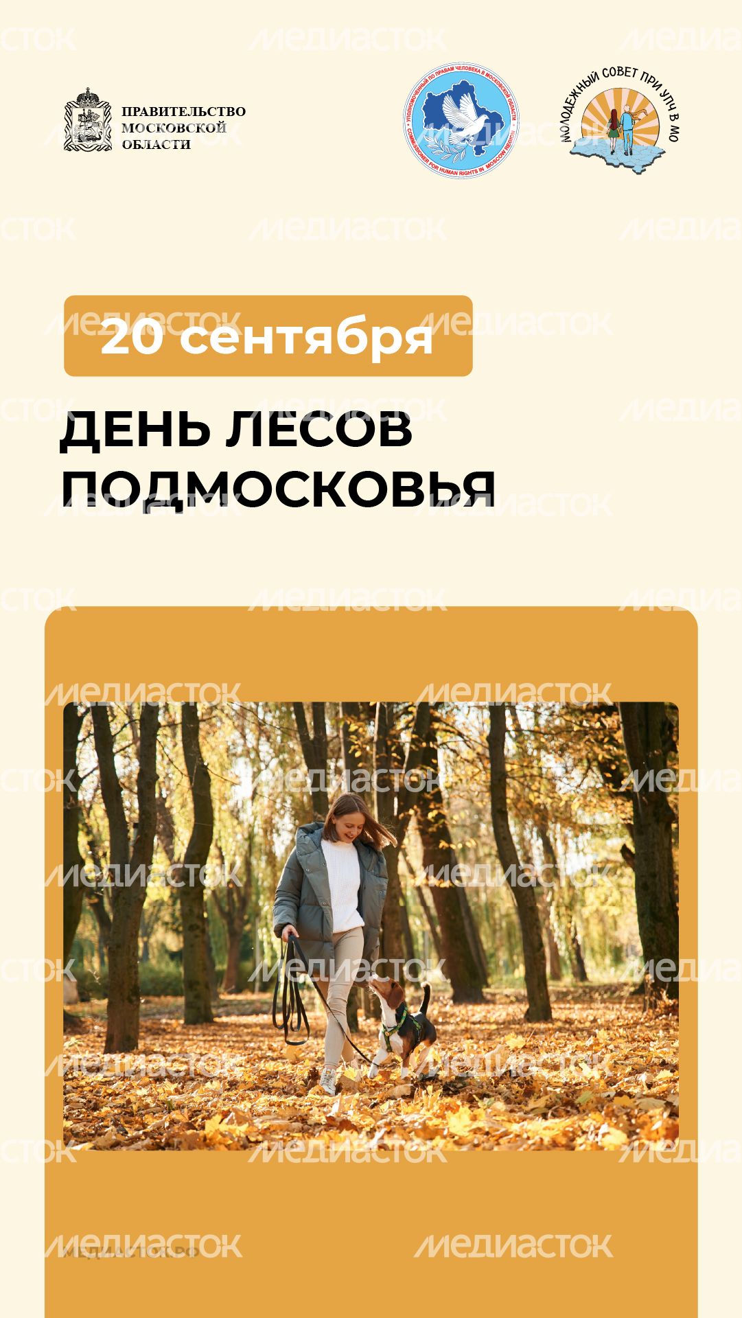 20 сентября вертикаль 06 20 сентября вертикаль 06