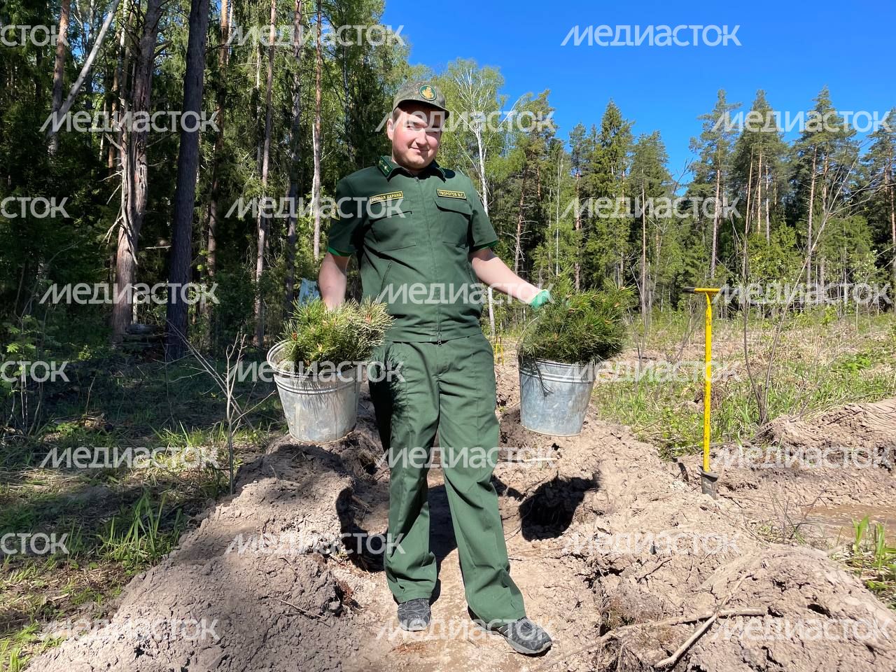 Настроение "Лес Будущего"-2024