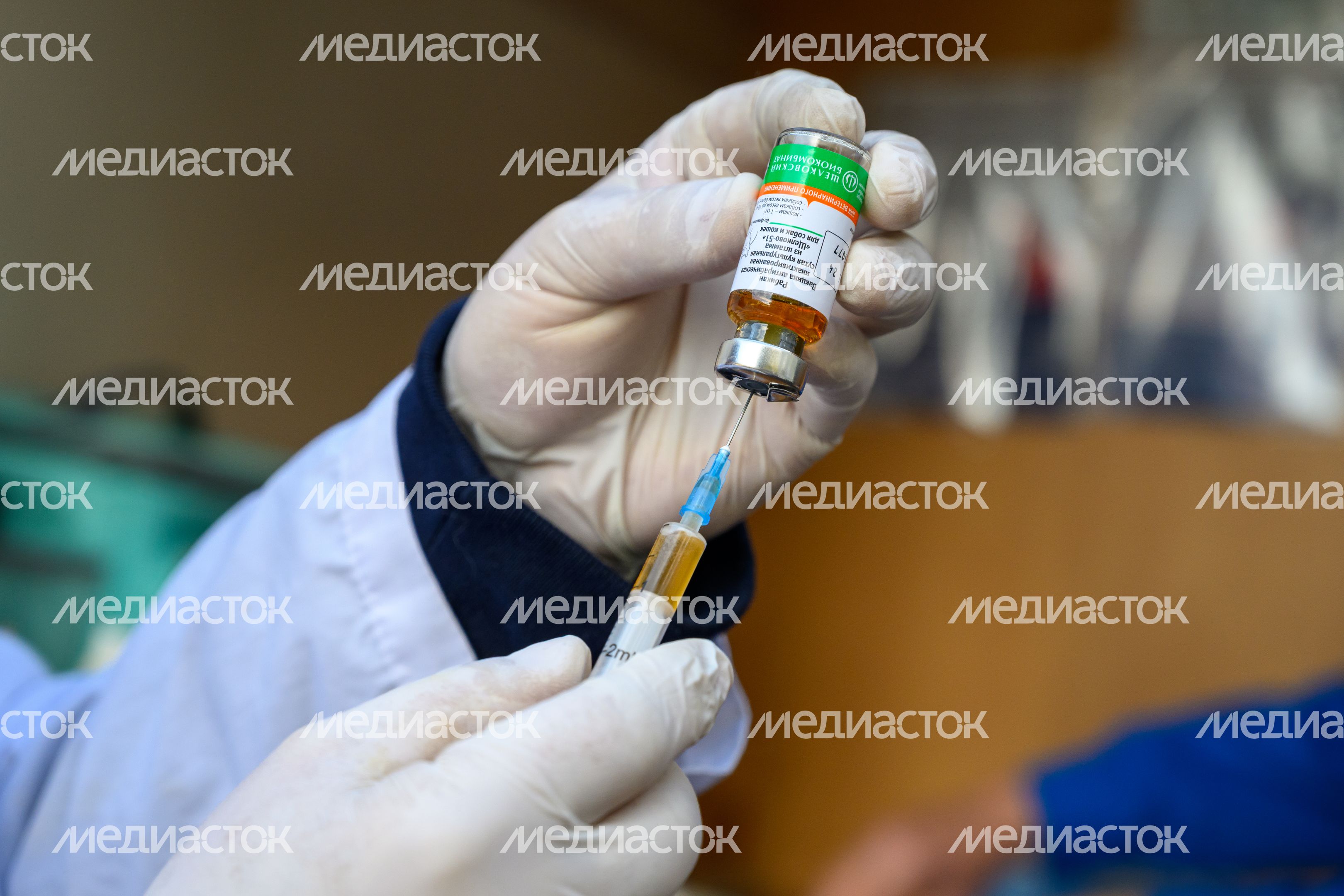 Выездная вакцинация животных в балашихинском парке "Пехорка" Выездная вакцинация животных в балашихинском парке "Пехорка"