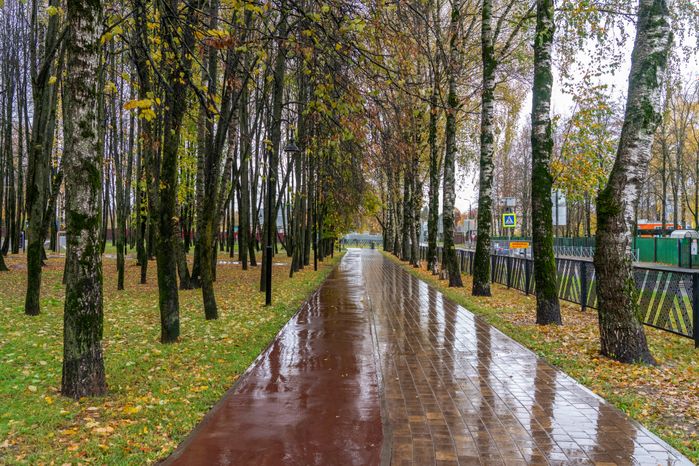 Городской парк «Гучково» в Дедовске осенью