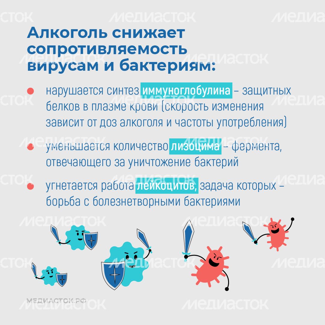 Алкоголь против иммунитета квадрат 03 Алкоголь против иммунитета квадрат 03