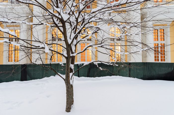 Красногорск. Усадьба «Архангельское». Зима