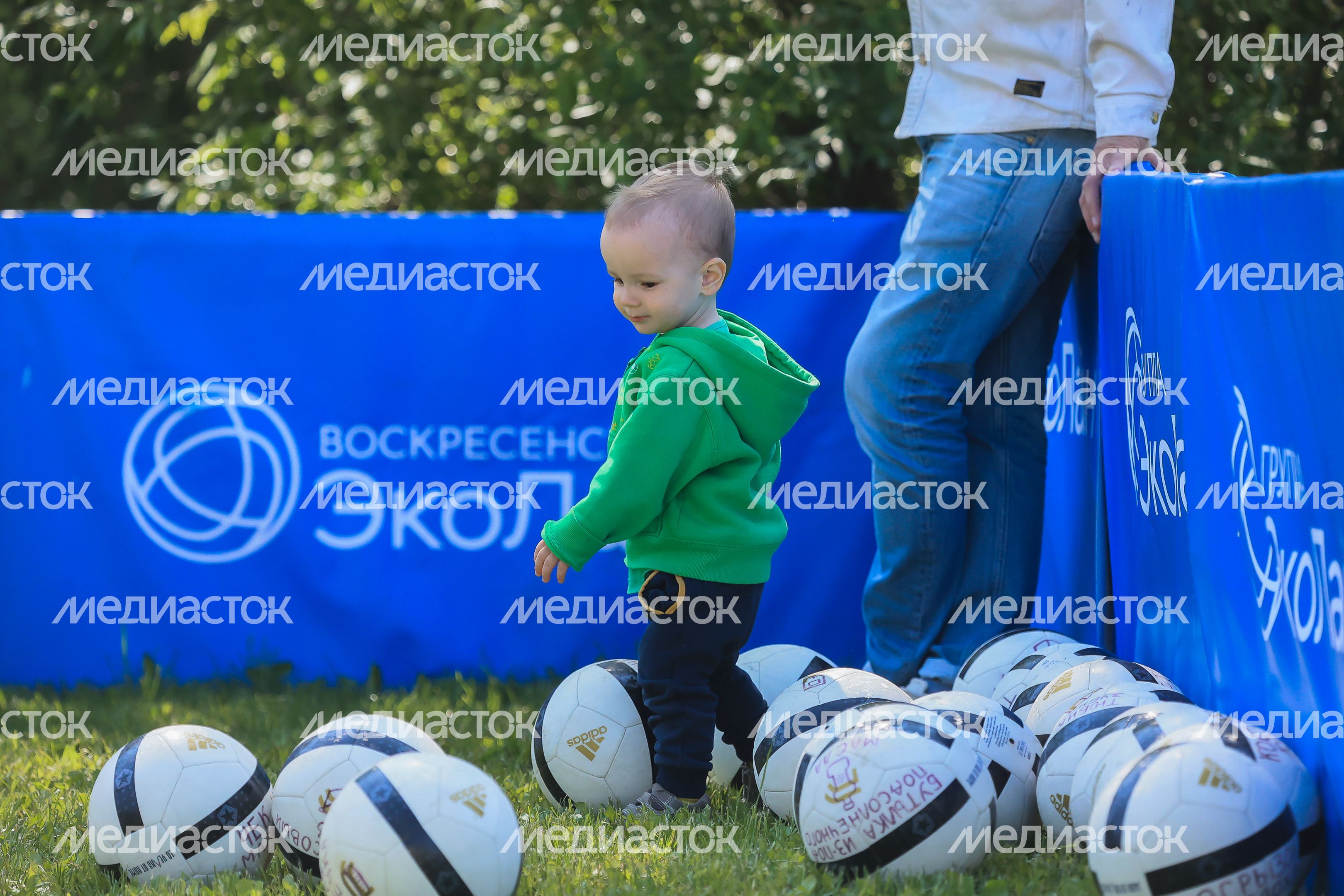 Посещение экологического фестиваля в Люберцах Губернатором Подмосковья