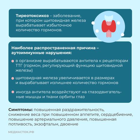 щитовидная железа семь вопросов квадрат 05
