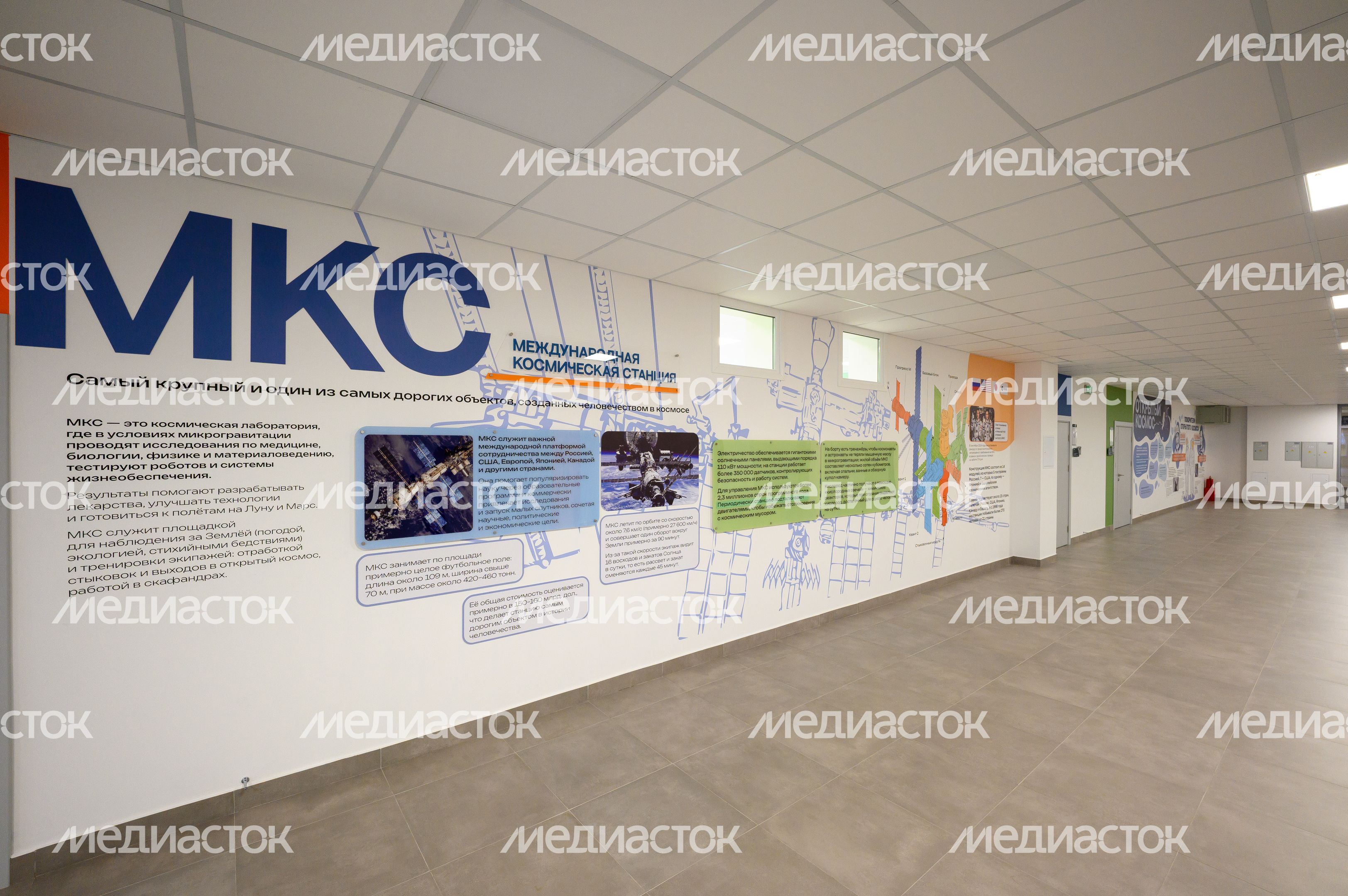 Роспись на стенах нового корпуса Первомайской школы №2 им. М.Ф. Тихонова в Королеве