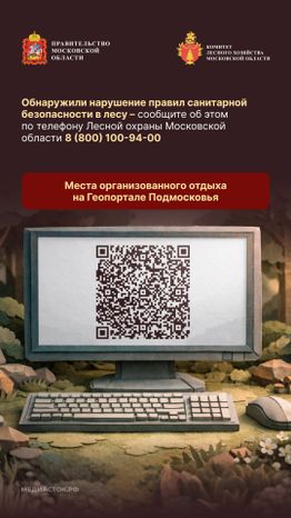 Санитарная безопасность в лесах вертикаль 07