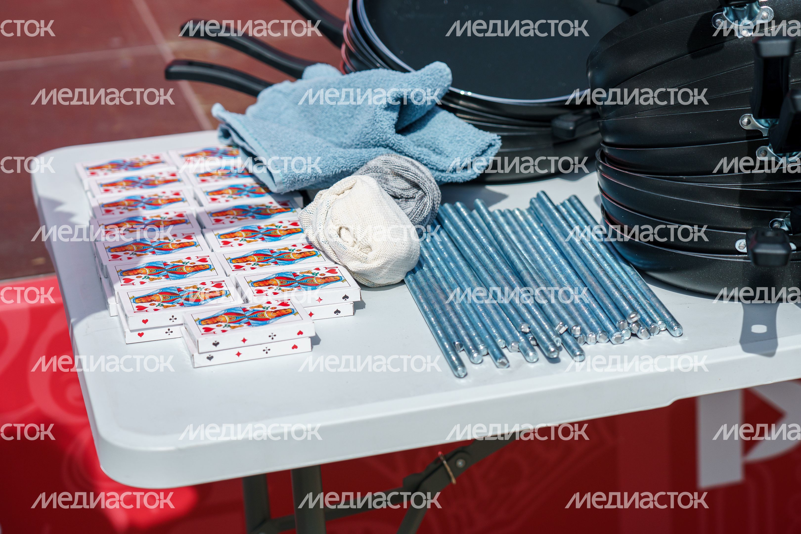 Богатыри на международной выставке-форуме "Россия" Богатыри на международной выставке-форуме "Россия"