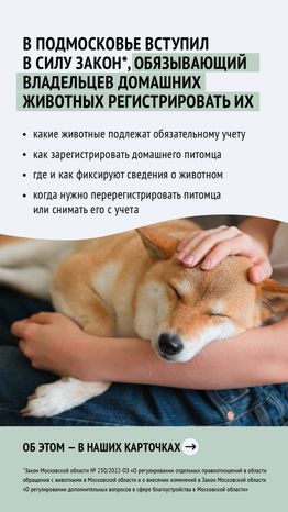 Зарегистрировать домашнее животное ред 2-вертикаль-02.png