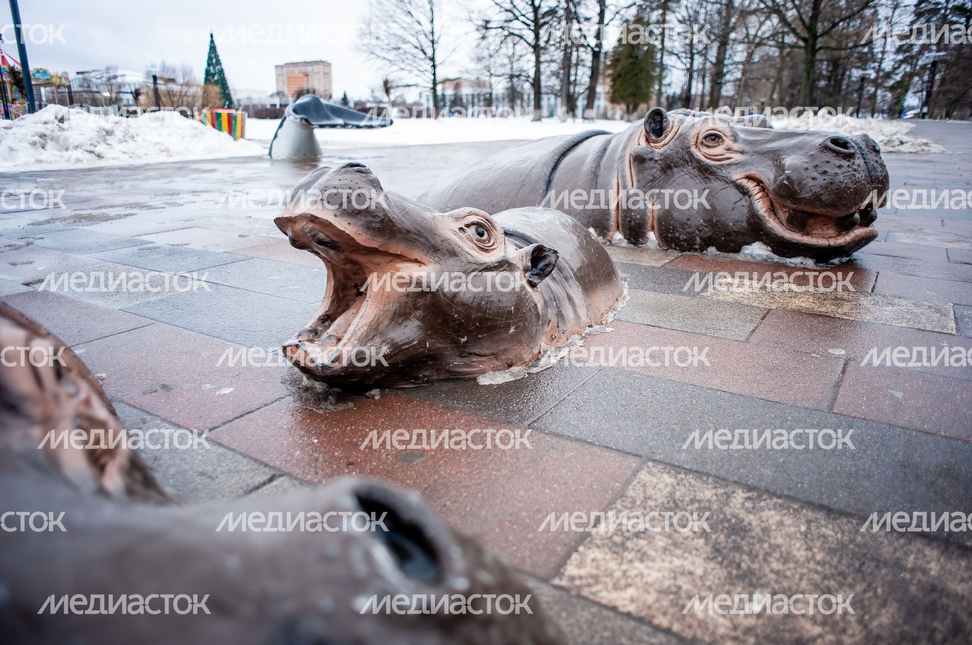 Зимние виды города Одинцово