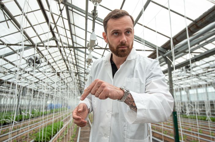 Теплицы крупного семеноводческого агропромышленного комплекса ООО «Агрофирма Партнер»