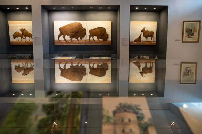Ступинская художественная галерея «Ника»