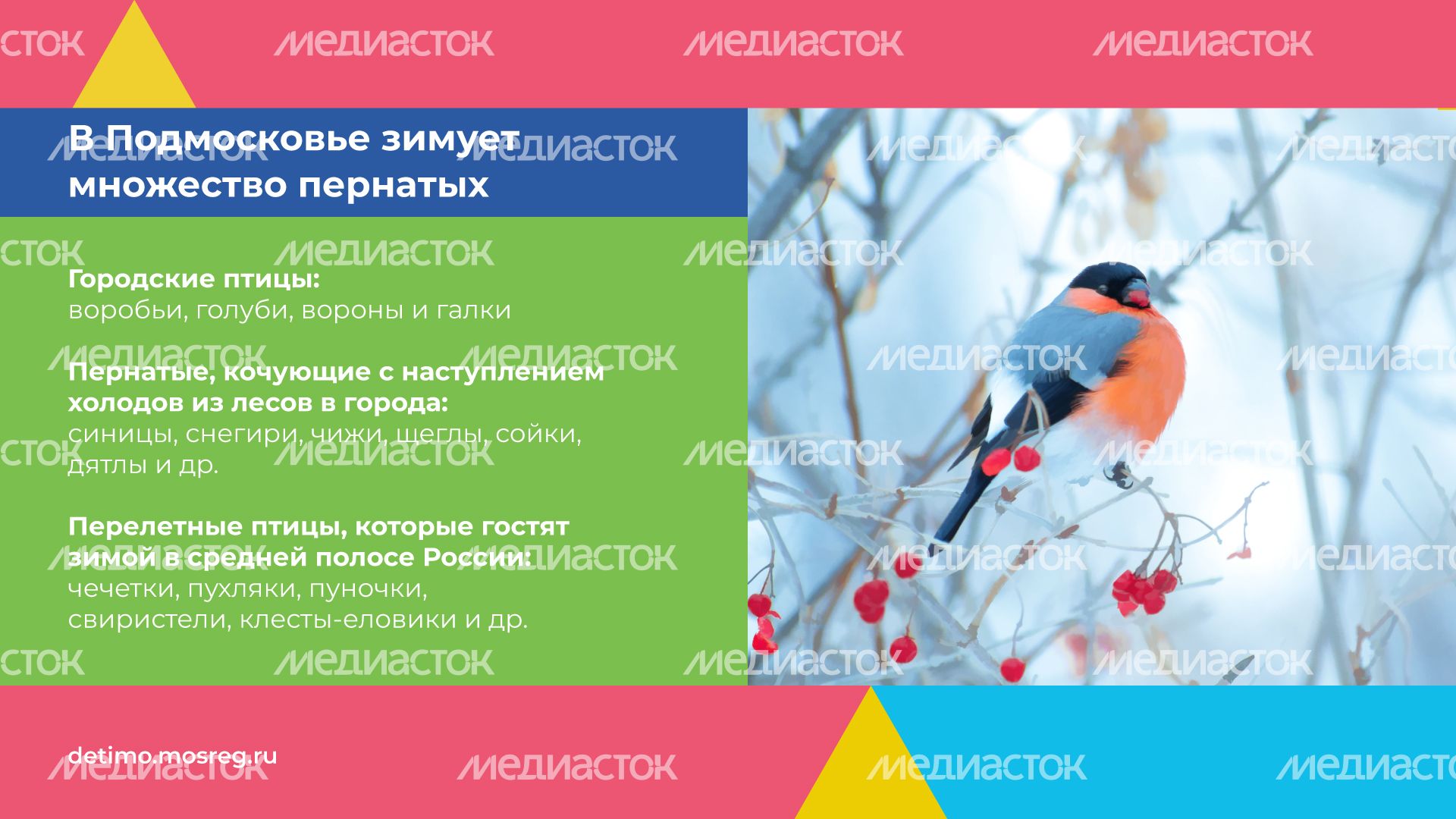 синичкин_день_горизонталь_03.jpg