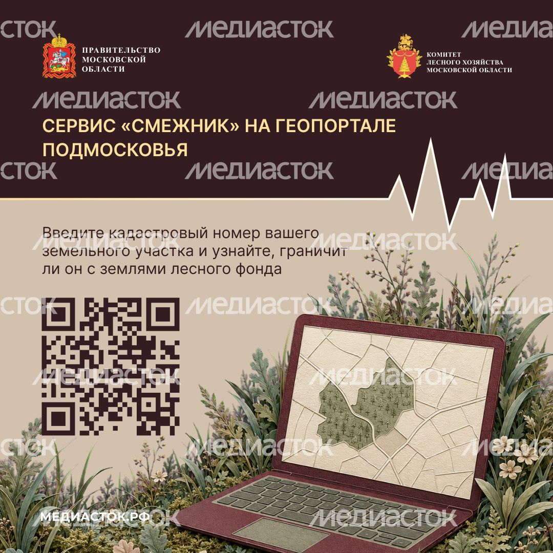 Живете рядом с лесом квадрат 07