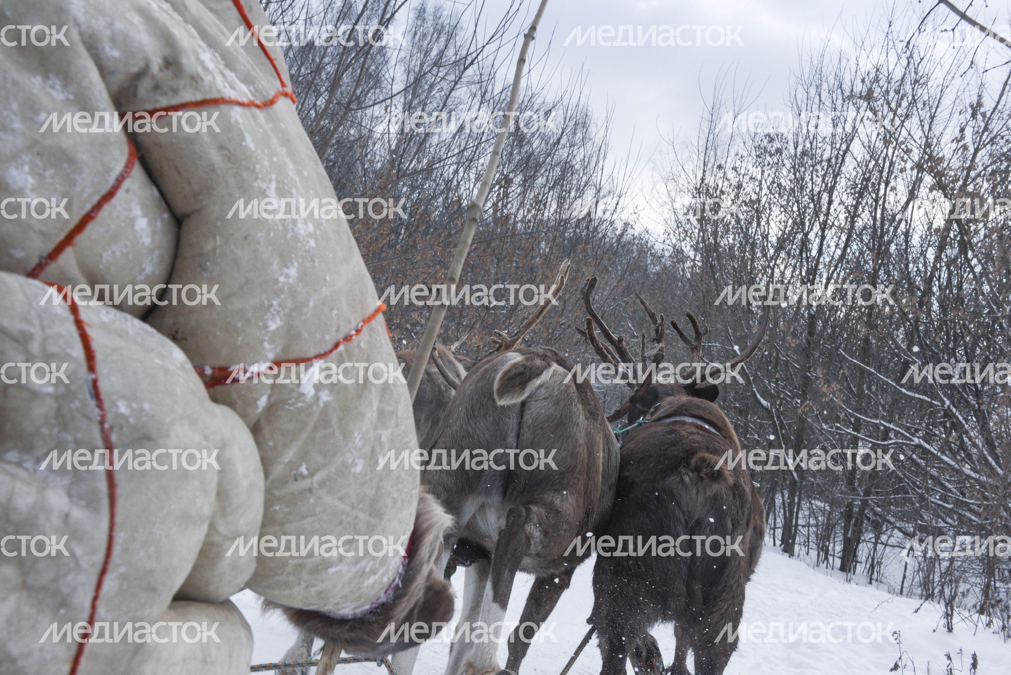 Оленья ферма в Дзержинском