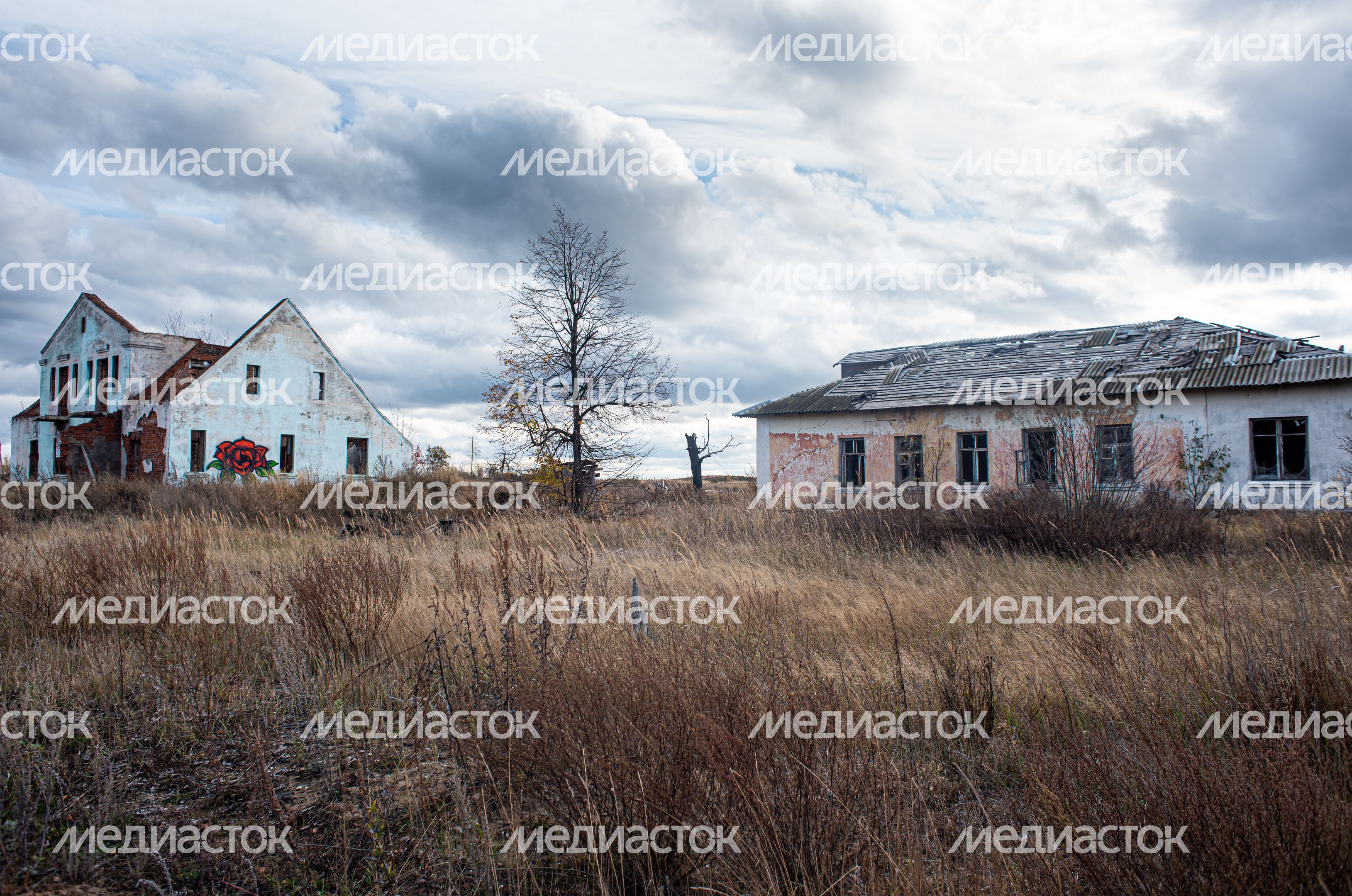 Заброшенная деревня Моховое