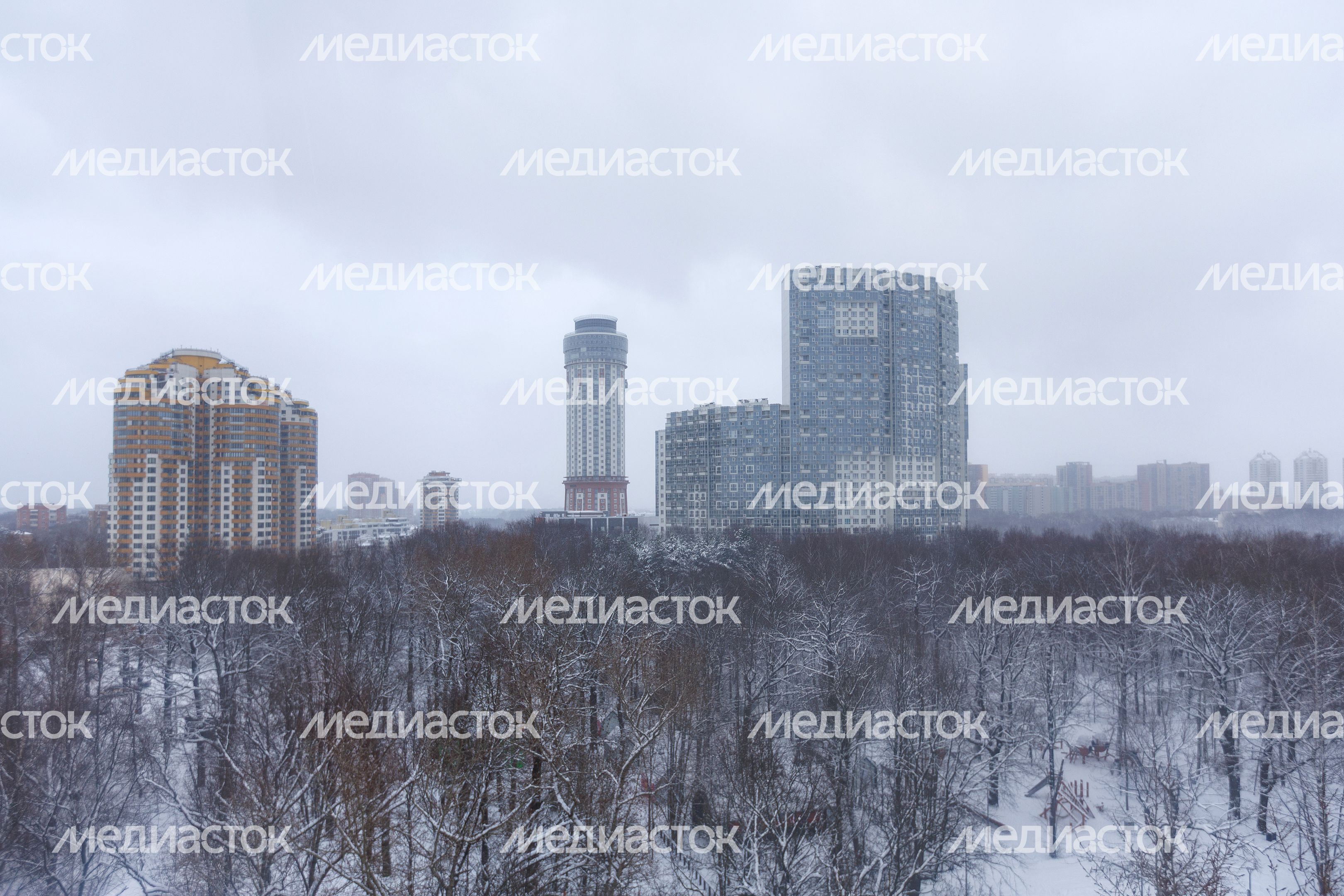 Зима в парке культуры и отдыха имени Л.Н. Толстого в Химках