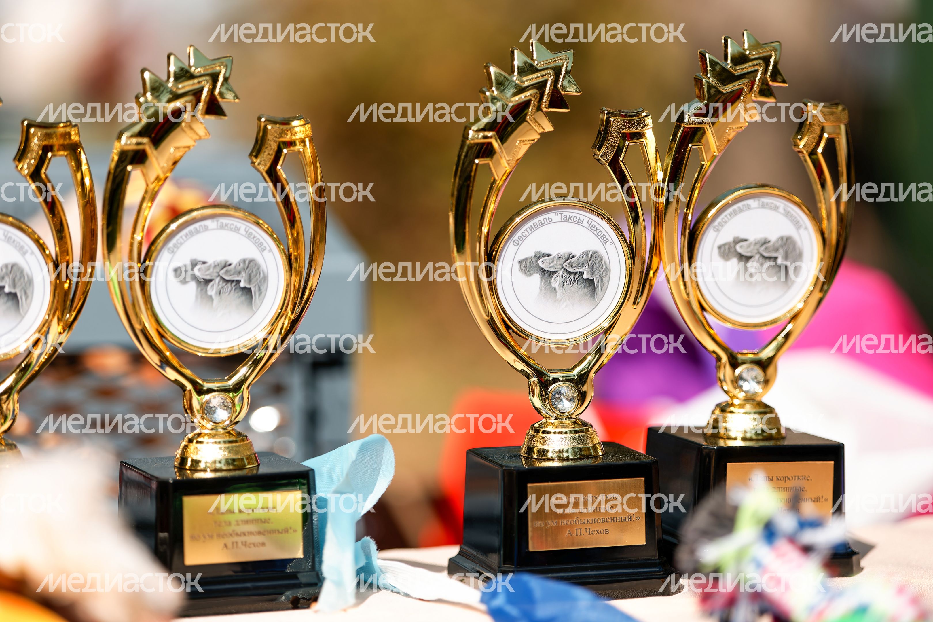 Кубок фестиваля «Таксы Чехова» в Мелихово округа Чехов Кубок фестиваля «Таксы Чехова» в Мелихово округа Чехов