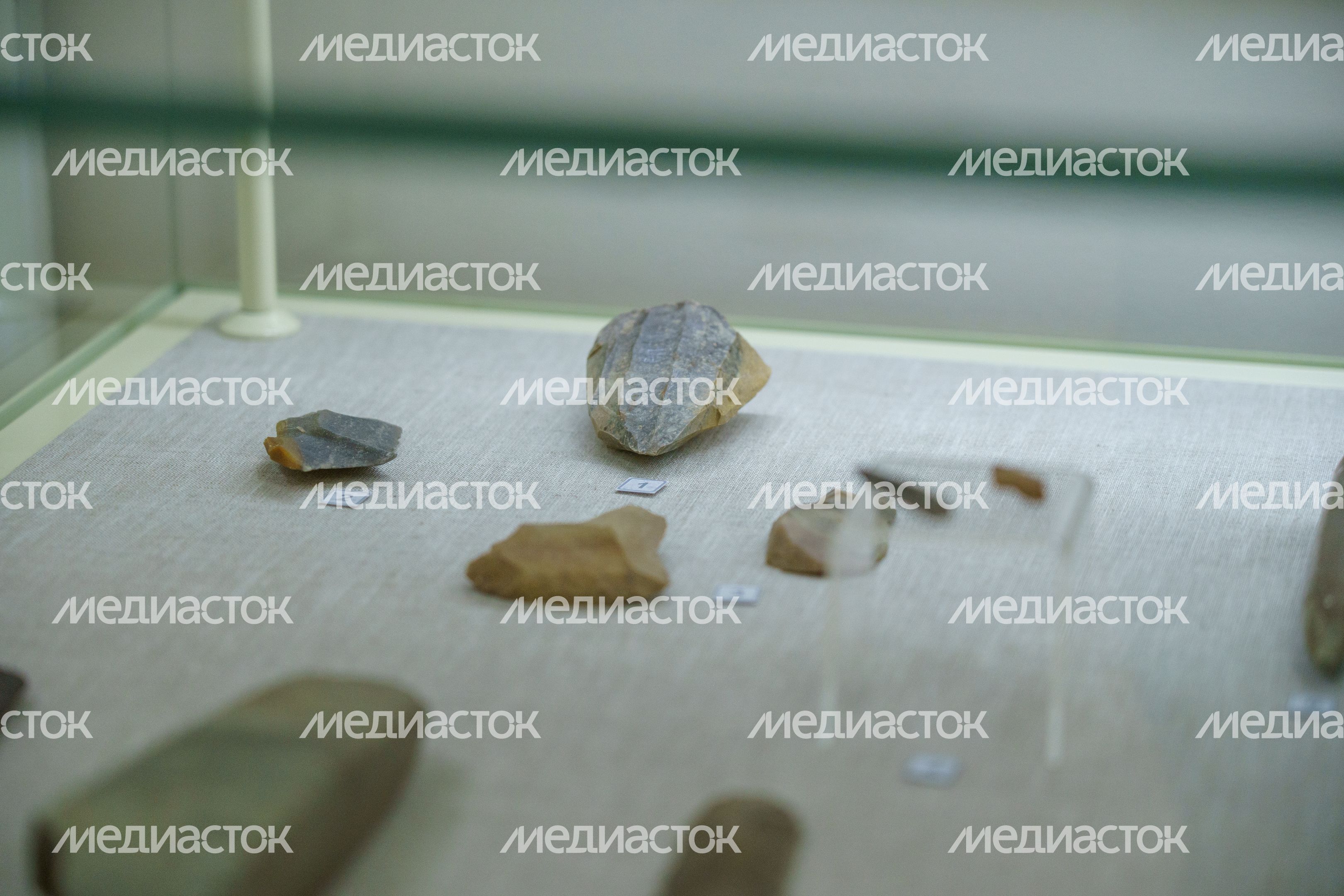 Музей Дубны. Отделение археологии и краеведения