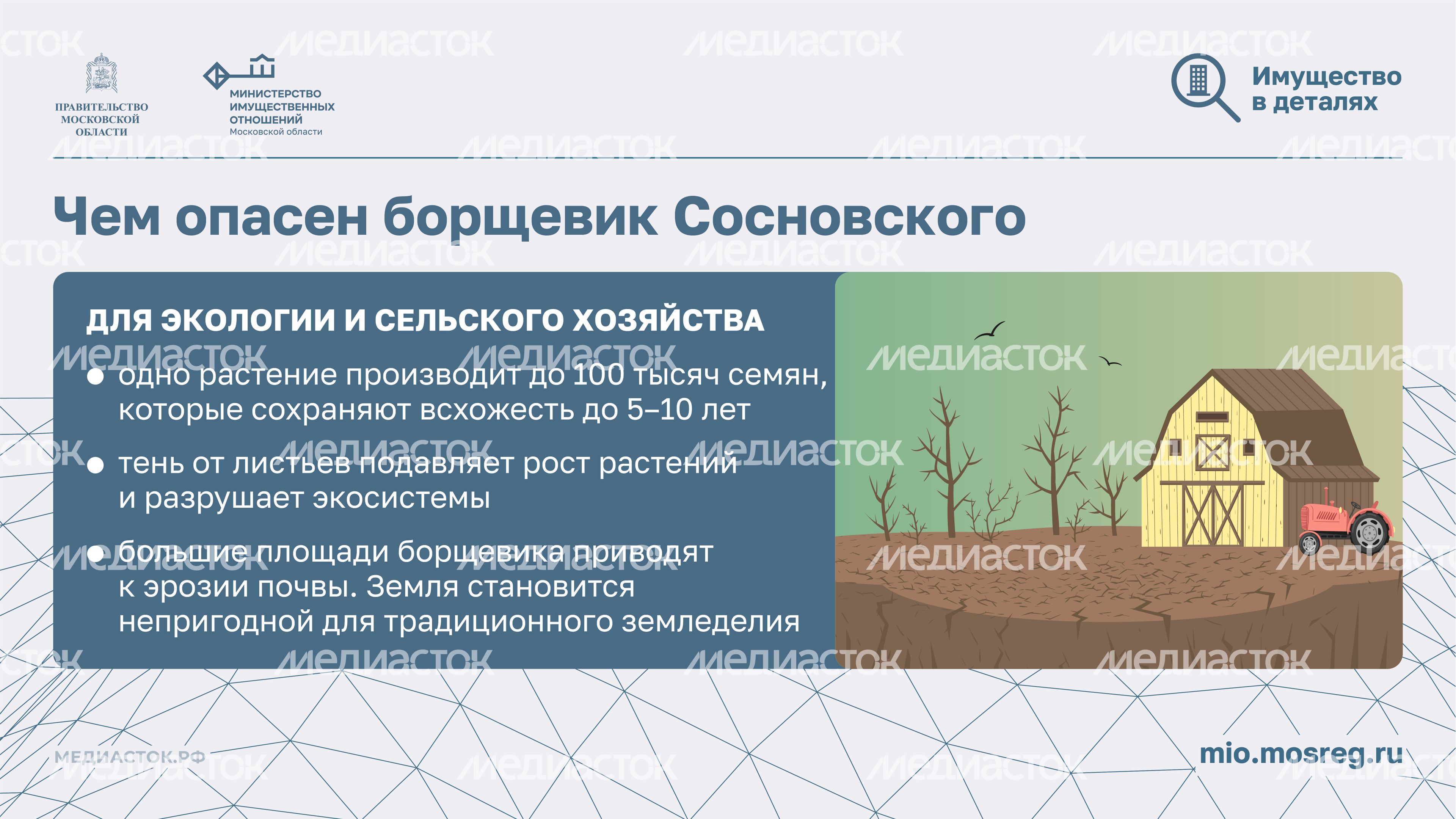 Борьба с борщевиком горизонталь 05