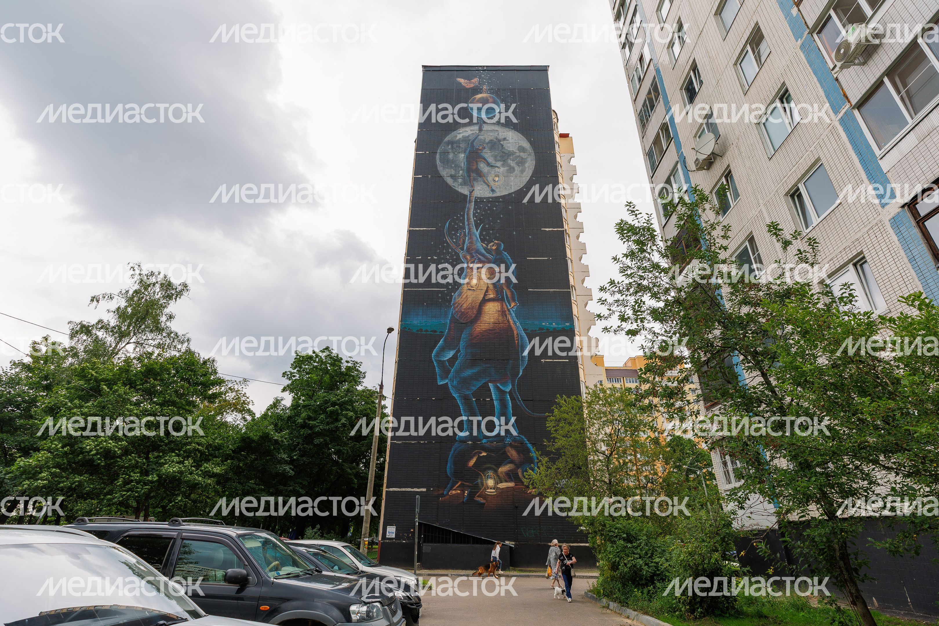 Муралы в Железнодорожном, Балашиха