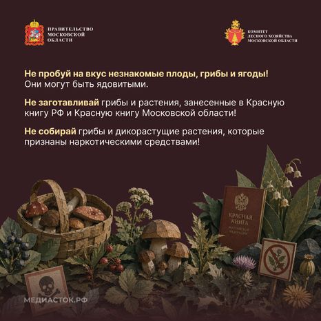 Пребывание граждан в лесах квадрат 08