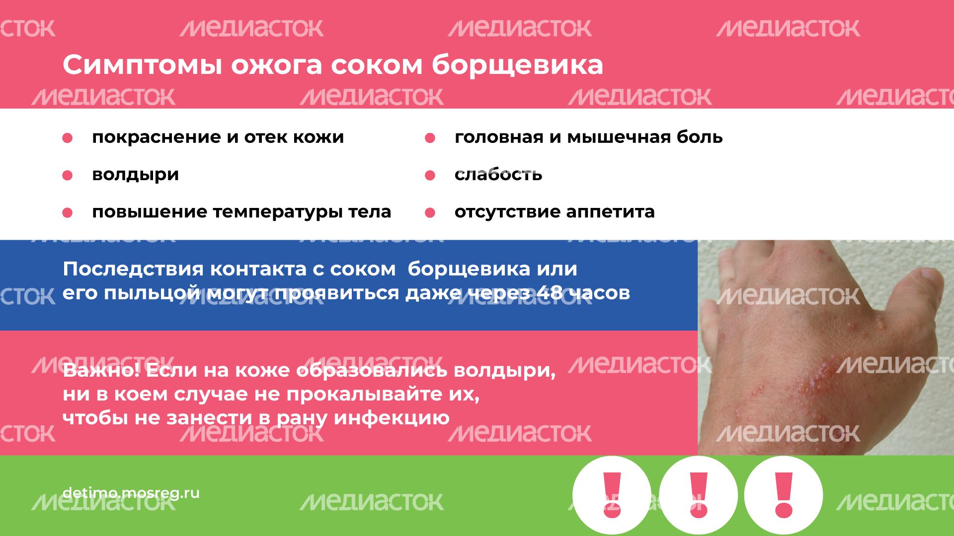 Горизонталь_Борщевик Сосновского_05.png