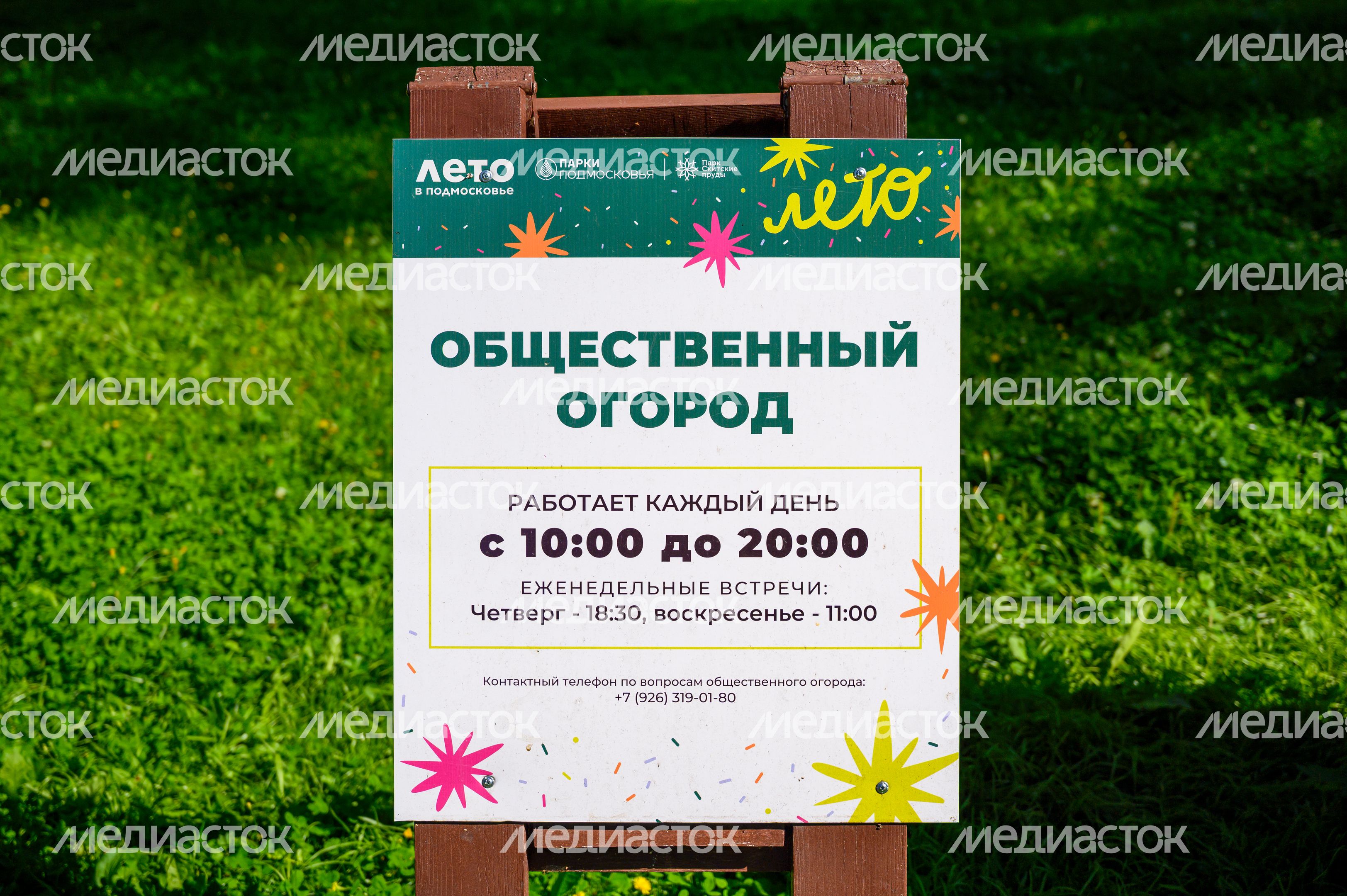 Парк "Скитские пруды" в Сергиевом Посаде. Лето Парк "Скитские пруды" в Сергиевом Посаде. Лето