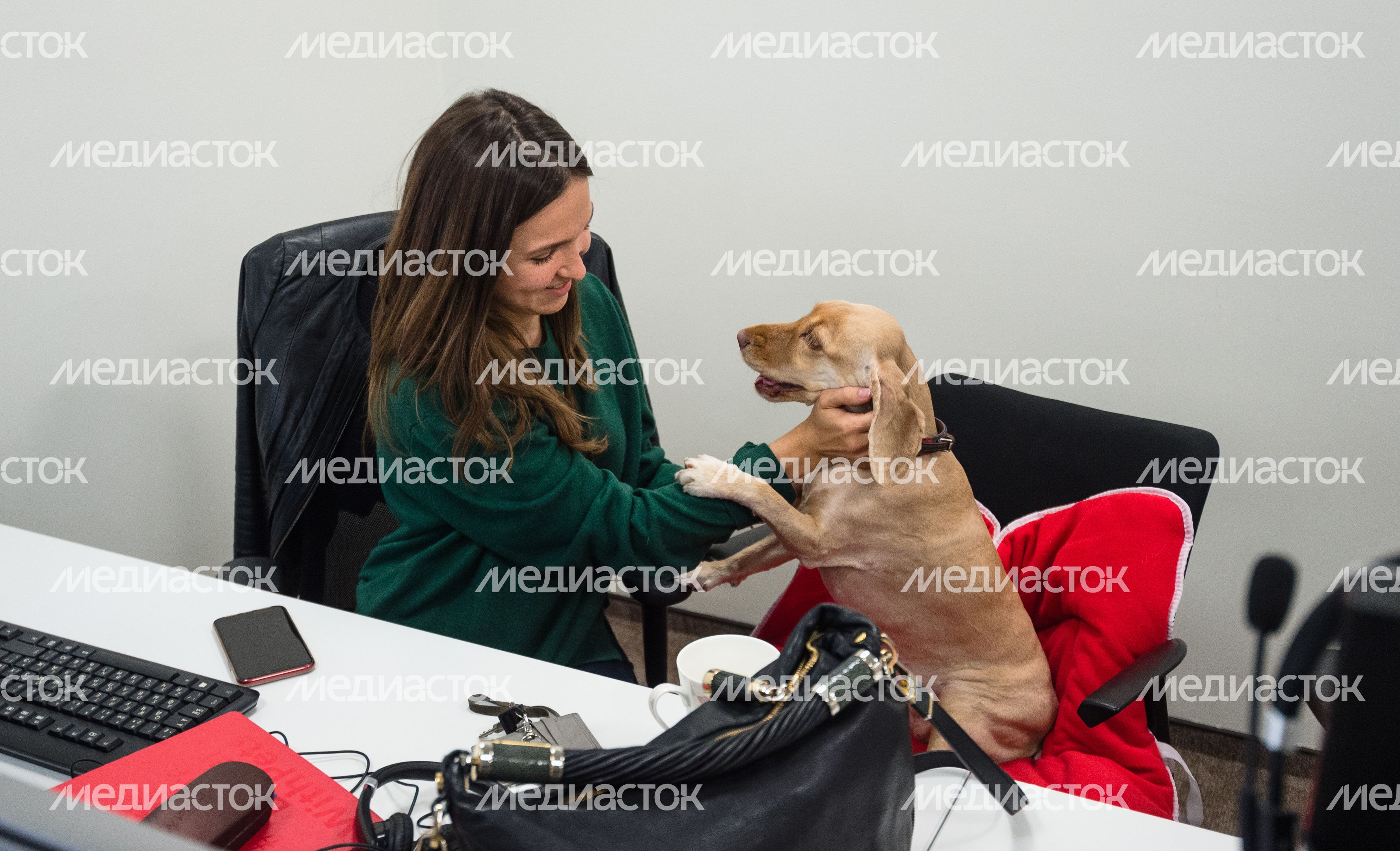 Pet‑friendly офис Purina