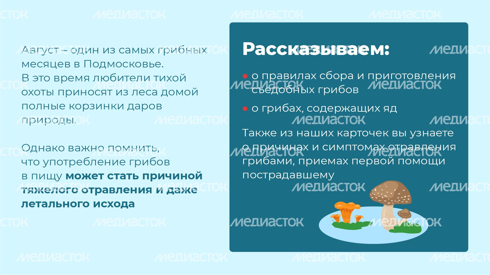 25 Горизонталь_грибы_02-100