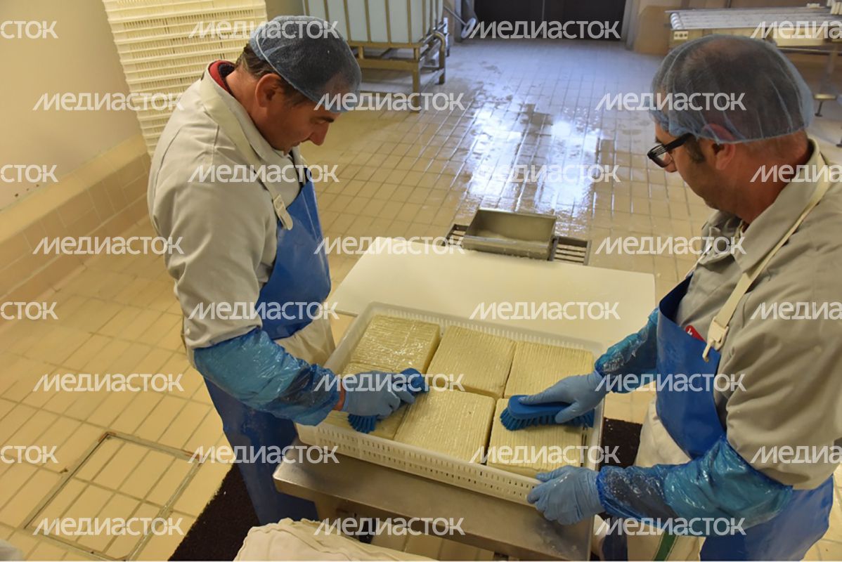 Инвестиционный потенциал Подмосковья представили на презентации в Милане Инвестиционный потенциал Подмосковья представили на презентации в Милане