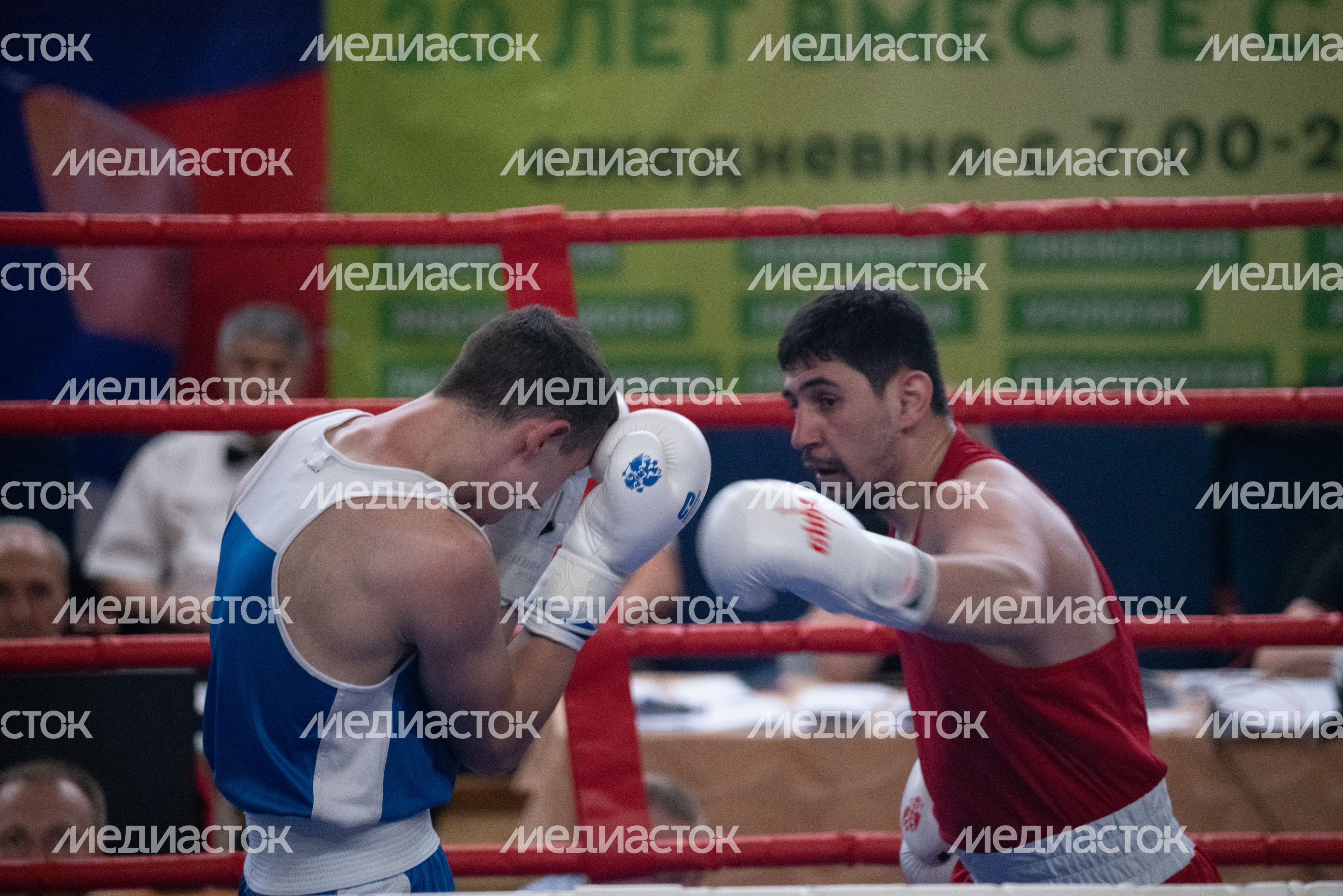 Чемпионат МО по боксу