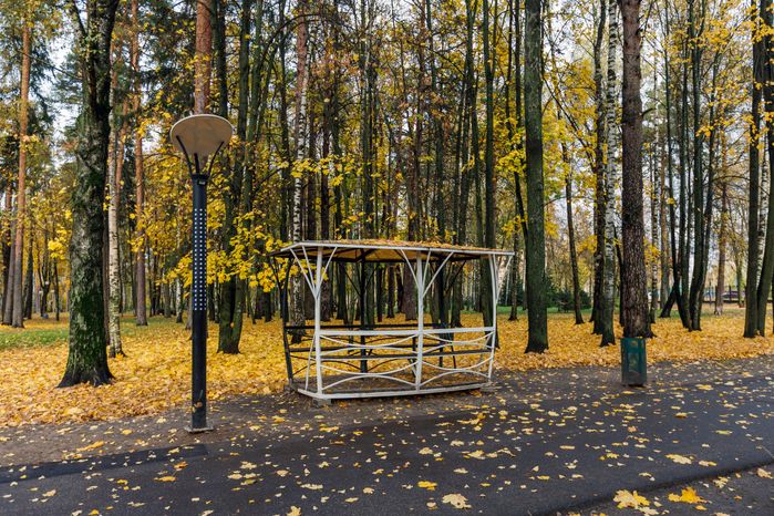 Центральный парк культуры и отдыха в Ногинске осенью