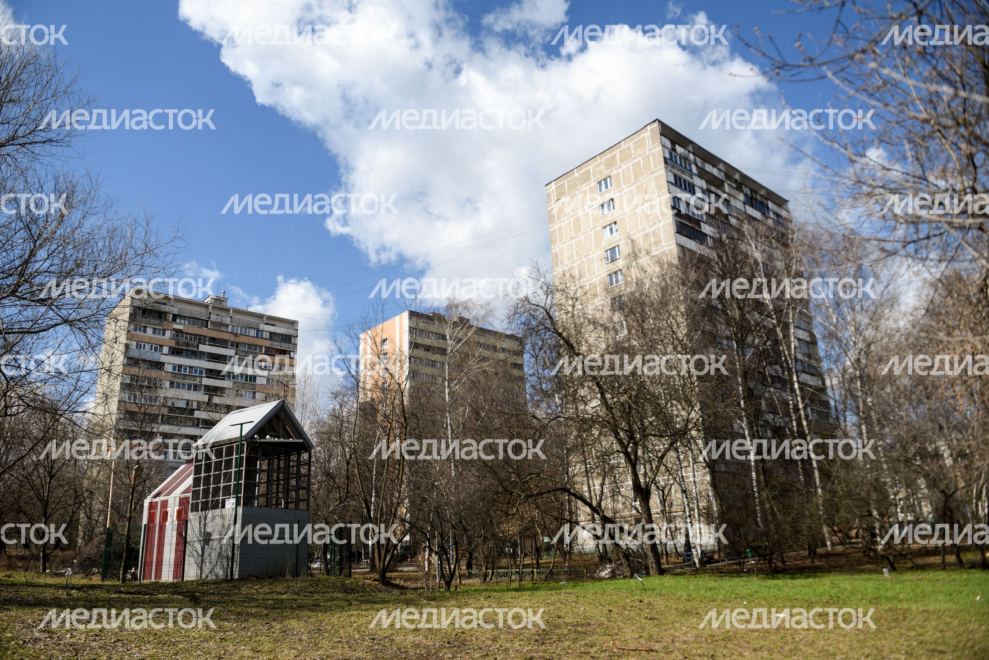 Голубятня в Москве Голубятня в Москве