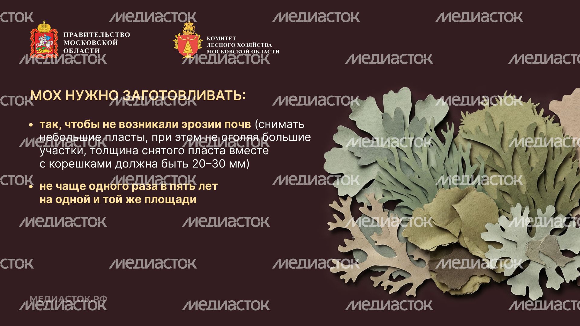 Недревесные ресурсы для собственных нужд Горизонталь 09