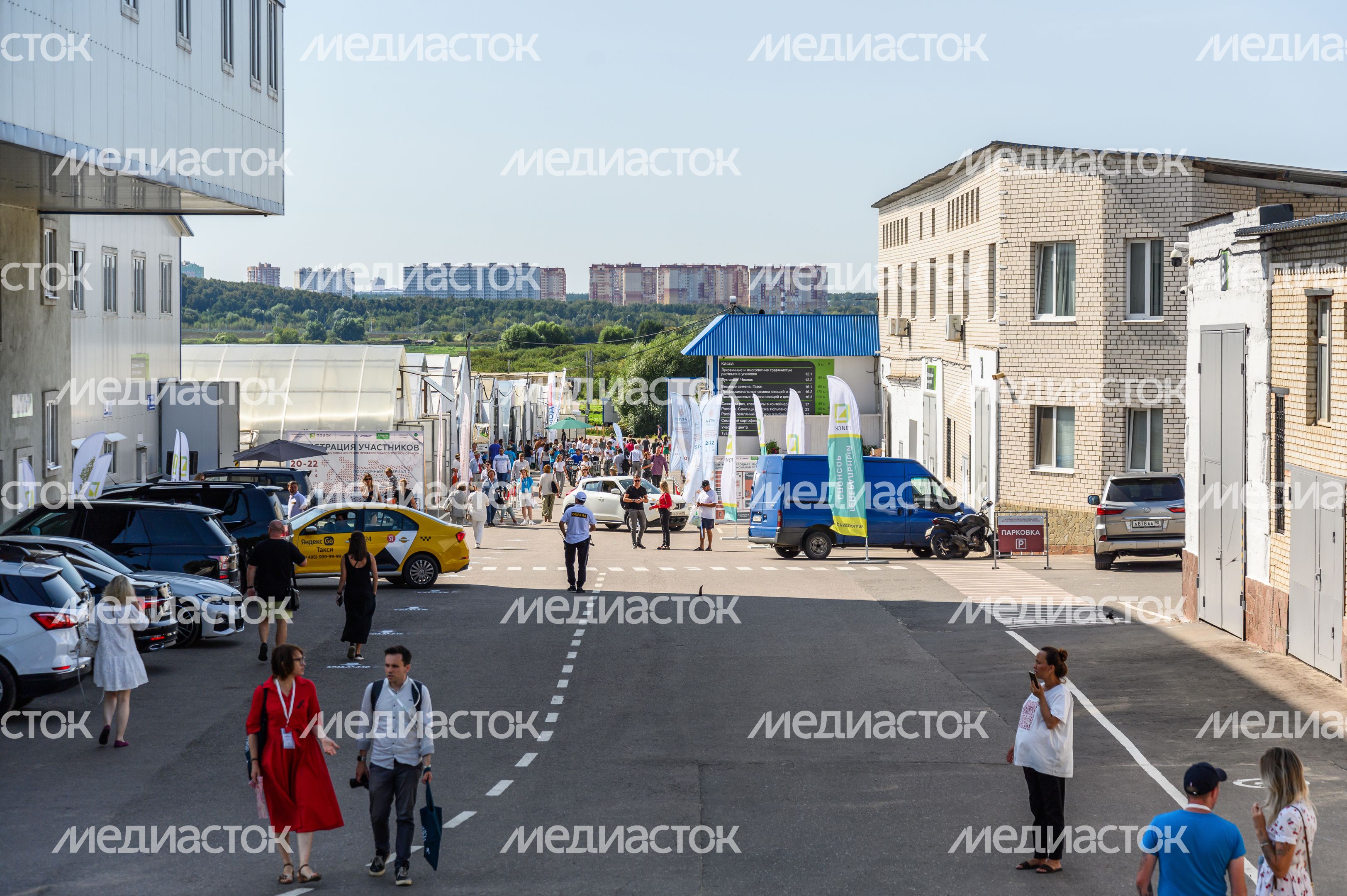 Международная выставка посадочного материала для профессионалов зеленой отрасли 2024 в Раменском округе Международная выставка посадочного материала для профессионалов зеленой отрасли 2024 в Раменском округе