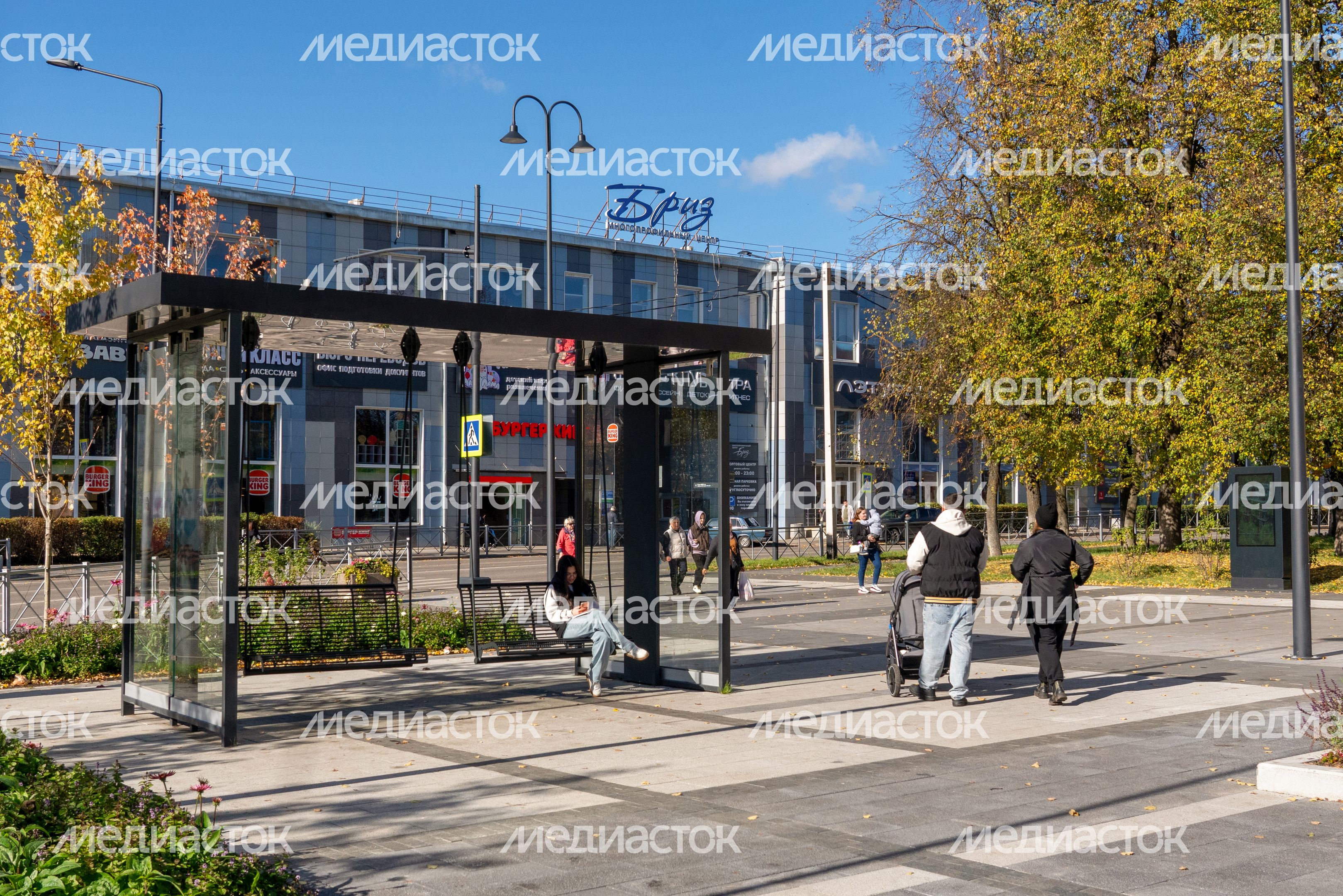 Благоустройство центральной площади Истры Благоустройство центральной площади Истры